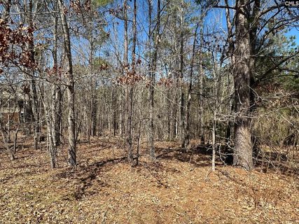 365 Highland Point active home in Lake Carolina - Harborside, Columbia, SC