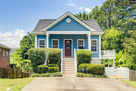 Homes in Laurel Hill, Columbia