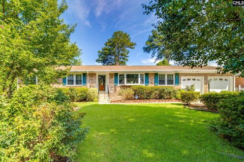 Homes in Drexel Lake Hills, Columbia