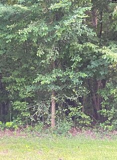 11 Otter Trail Court active land listing in Heritage Hills, Columbia, SC