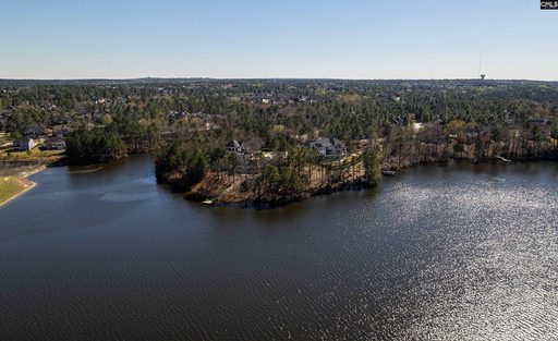Homes in Lake Carolina - The Bluffs, Columbia