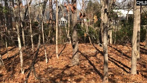 326 Carola Lane active home in Woodcreek, Lexington, SC
