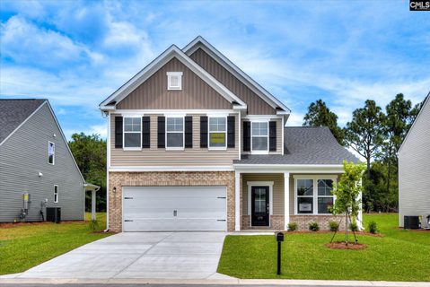289 Summer Orchard Drive active home in Summer Orchard, Lexington, SC