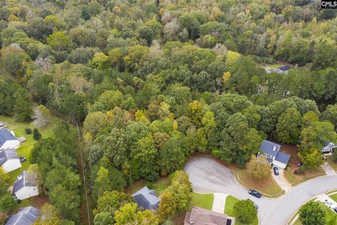 10 Fairlake Court active home in Chestnut Hill Plantation, Columbia, SC