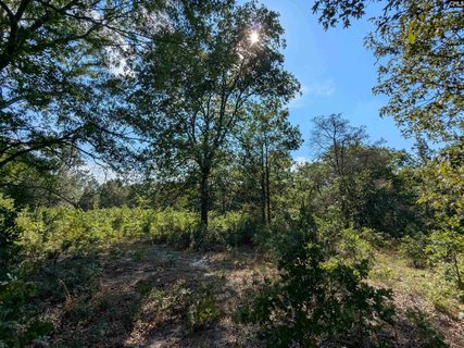 Hound Hollow Road pending land listing in Hound Hollow, Camden, SC