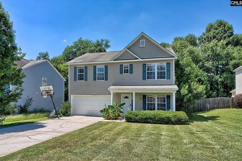 113 Wingspan Way active home in Eagle Pointe, Chapin, SC