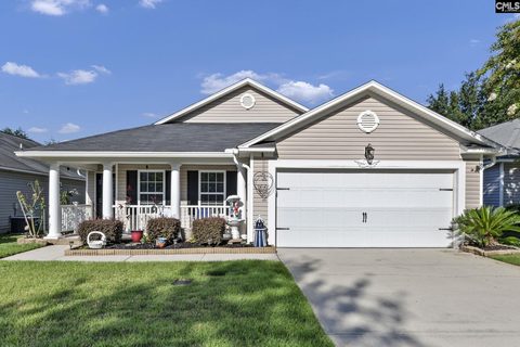 423 Bradington Way active home in Lake Carolina - Woodleigh Park, Columbia, SC