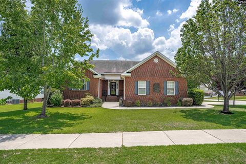 425 Keowee Drive active home in Olde Saluda, Lexington, SC