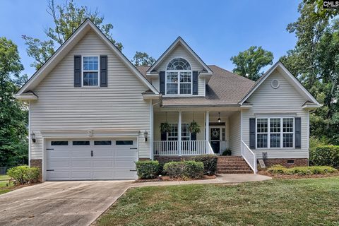 Homes in Stephenson Lakes, Chapin