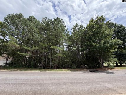 122 Peppermint Lane active home in Cobblestone Park, Blythewood, SC