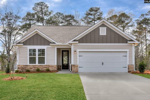 717 Feldspar Court pending home in Chapin Place, Chapin, SC