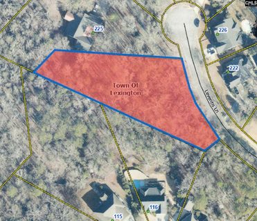 221 Leventis Lane active home in Woodcreek, Lexington, SC