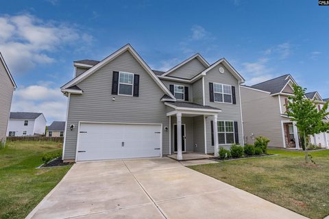 Homes in Burnside Farms, Columbia