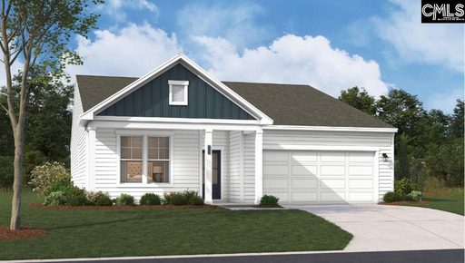 728 Feldspar Court pending home in Chapin Place, Chapin, SC
