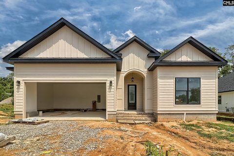 858 Elms Spinney Lane active home in Whitewater Landing, Chapin, SC