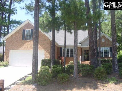 203 Loggerhead Drive active home in Turtle Creek, Columbia, SC