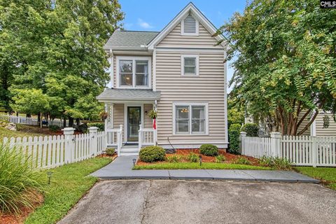 Homes in Broad River Township, Columbia