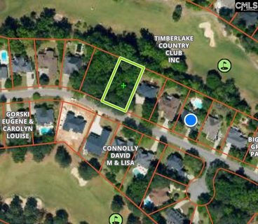 333 Oxenbridge Way active home in Plantation Summit, Chapin, SC