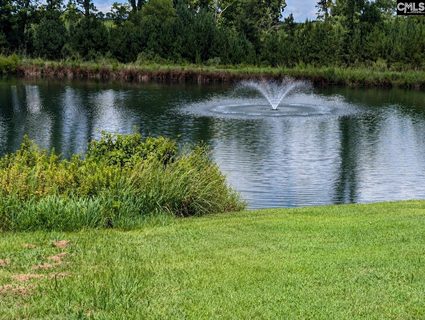 509 Golden Rod Court pending home in Cobblestone Park, Blythewood, SC