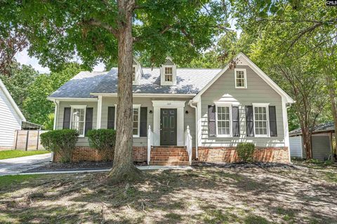 109 Crossthorn Road pending home in New Friarsgate, Irmo, SC