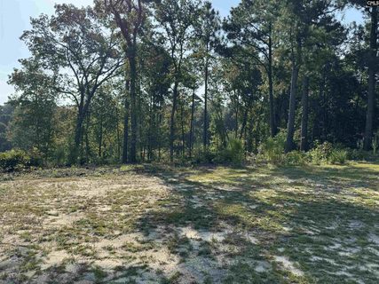 208 Crickentree Drive active home in Crickentree, Blythewood, SC