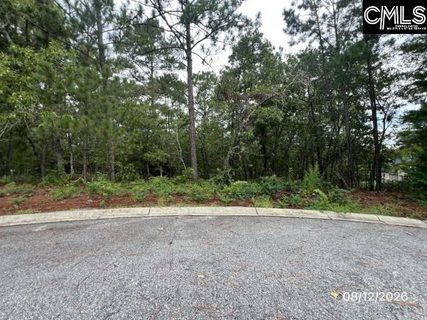 4 Lost Dog Court active home in Woodcreek Farms, Elgin, SC