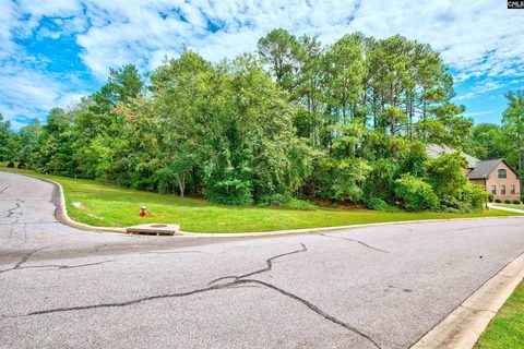 2 Gills Crossing Court active home in The Manors Of Belleclave, Columbia, SC