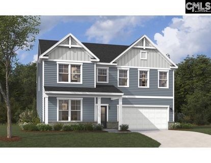 Homes in Boykin Hills, Chapin