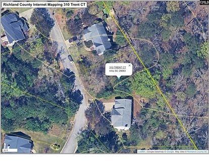 310 Trent Court active home in Stonemont, Irmo, SC
