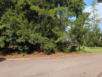 614 Golf Links Court active home in Timberlake - Lookout Pointes, Chapin, SC