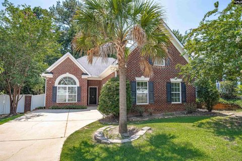 24 Palmetto Wood Court active home in Palmetto Park, Irmo, SC