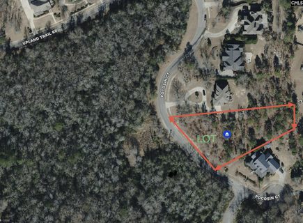 11 Pocosin Court active home in Greenhill Parish, Elgin, SC
