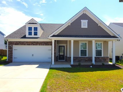 351 Chapin Place Way active home in Chapin Place, Chapin, SC