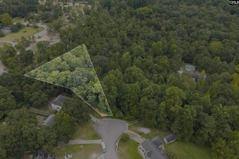 119 Painted Pony Court active land listing in Hampton Downs, Elgin, SC