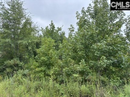 1008 Langford Road active land listing in Jordan Jeffers Estate, Blythewood, SC