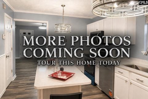 529 Summit Terrace Court active home in The Summit - Gatewood, Columbia, SC