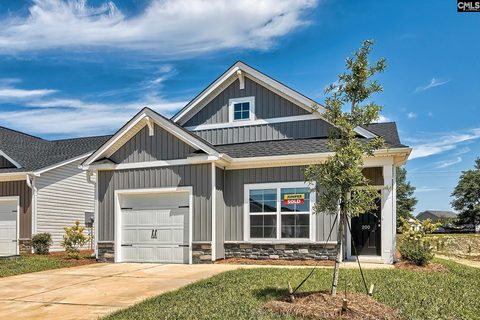 128 Calm Citadel Drive active home in Forts Ridge, Pelion, SC