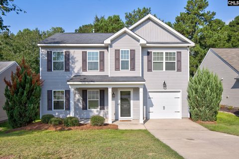 243 Sorrel Tree Drive active home in Allans Mill, Columbia, SC