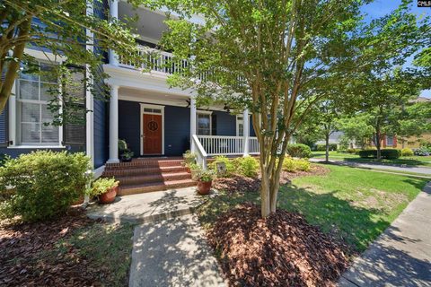 133 Van Der Horst Drive active home in Lake Carolina - Harborside, Columbia, SC