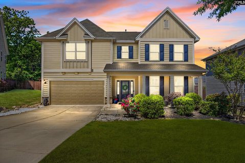 436 Maria Posada Court active home in Portrait Hill, Chapin, SC