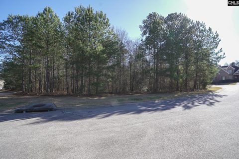 329 Brunner Circle active home in Cobblestone Park, Blythewood, SC