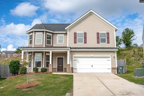 169 Sunny View Lane active home in Tri Springs, Lexington, SC