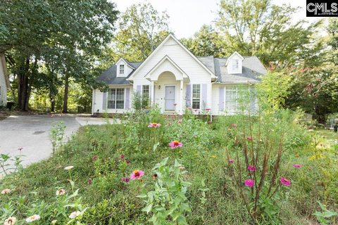 12 Stamport Court active home in Riverwalk, Irmo, SC