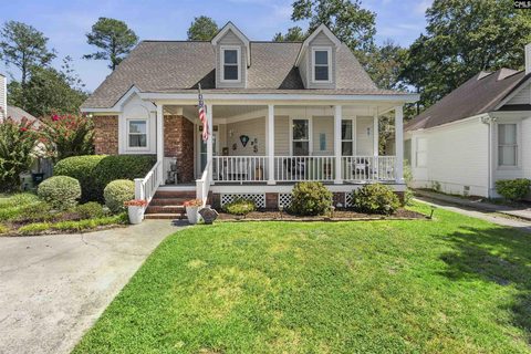 224 Wallace Circle active home in Planters Station, Lexington, SC
