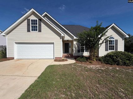 238 Colony Lakes Drive active home in Colony Lakes, Lexington, SC