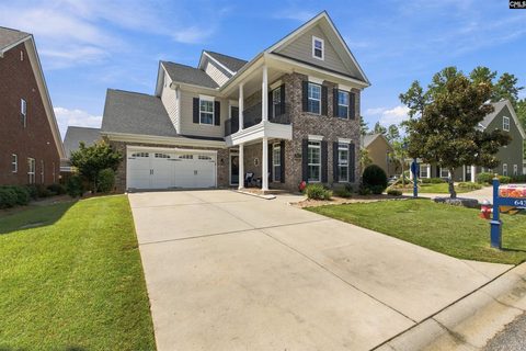 Homes in Lakeport, Chapin