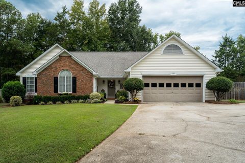 221 E Passage active home in Sandhurst, Columbia, SC