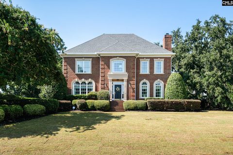1235 Morning Shore Drive active home in Spence Plantation, Lexington, SC