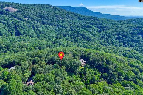10 Northslope View active home in The Cliffs At Glassy, Landrum, SC