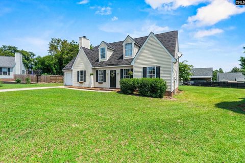 220 Chaps Circle active home in Saddle Horn, Lexington, SC